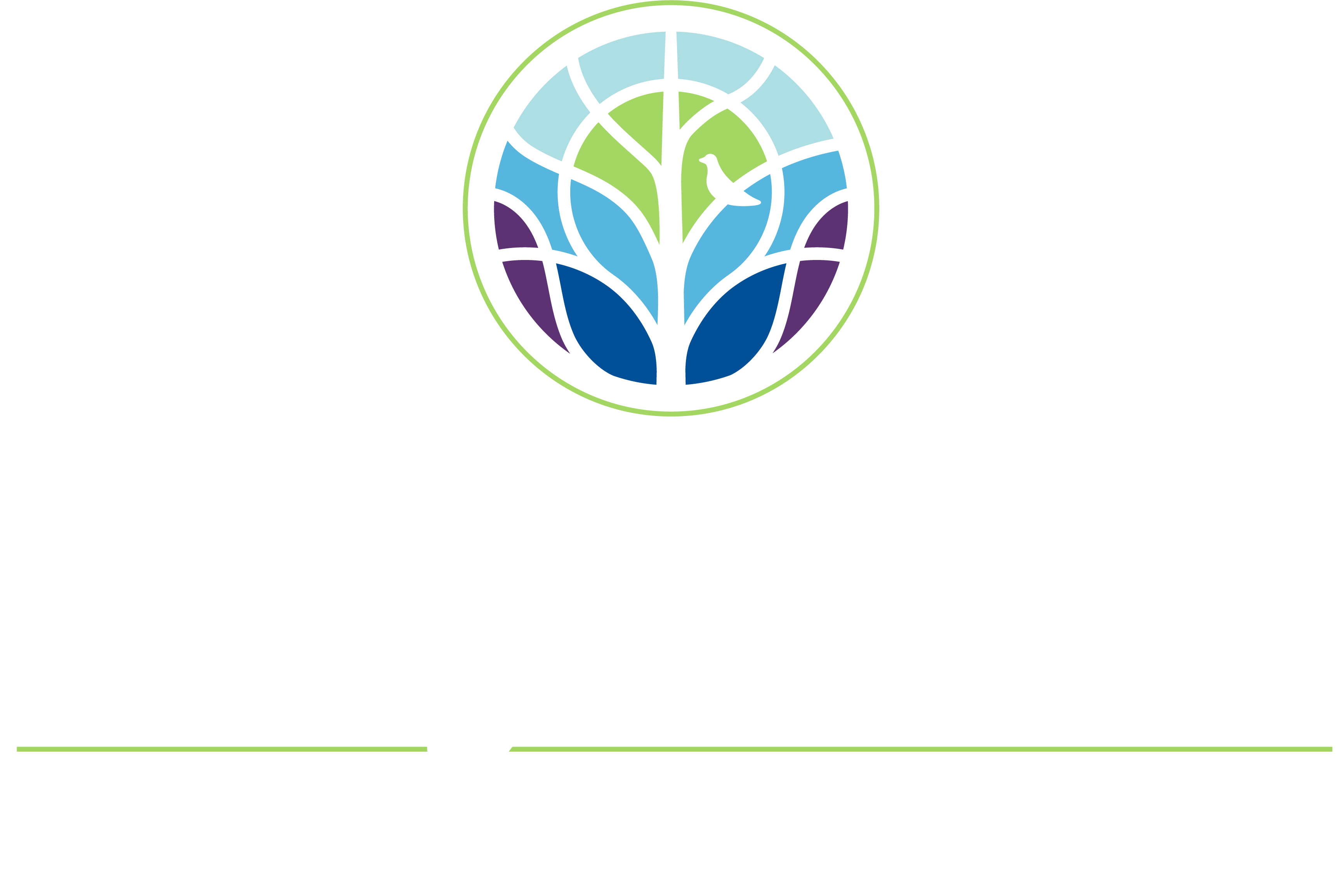 LARA J DESIGNS